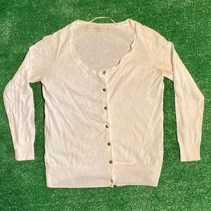 Zana Women's Button Up Cardigan Gray Sweater S